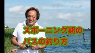 【村田基】バスのスポーニング時期の行動と釣り方【ミラクルジム】