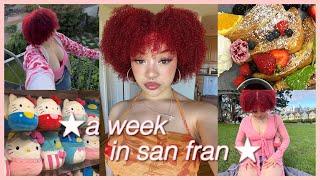 travel vlog: a week in san francisco  | shopping, cat cafe, clubbing, friends, and brunch 