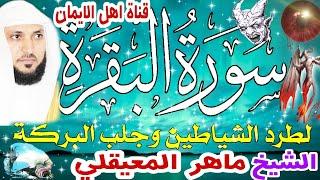 سورة البقرة كاملة مكررة لطرد الشياطين والجن والحسد والعين السحر الشيخ ماهر المعيقلي surat albaqara