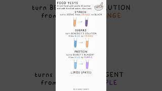 FOOD TESTS - Biology Science Revision (GCSE)  #school #exams