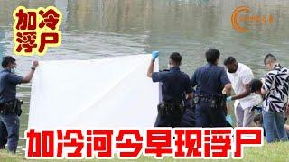 新加坡加冷河畔公园附近水域今早现浮尸，警方大面积封锁现场 #加冷河 #加冷河畔公园 #KallangRiversidePark #浮尸 #floatingbody #新加坡 #新加坡之音