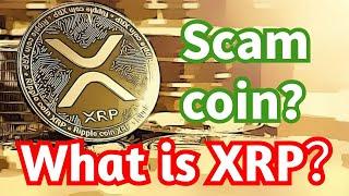 XRP is SCAM coin？OMG！「币圈男神」｜87man｜比特币，以太坊，狗狗币｜加密货币