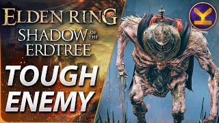 Elden Ring DLC - Tough Enemy - Troll Knight - Castle Ensis, Gravesite Plain - Shadow of the Erdtree