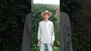 สร้างบ้านควรห่างจากรั้วกี่เมตรตามกฎหมาย