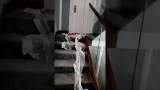 Отделка бетонной лестницы ковролином и лестничные стеклянные перила