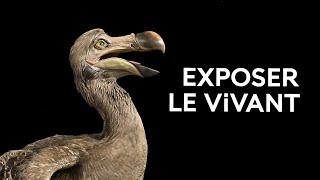 Raconter la nature grâce aux collections du Muséum national d'Histoire naturelle