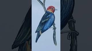 How to Paint a Bird / Acrylic Painting / Correa #Art #shorts #video 