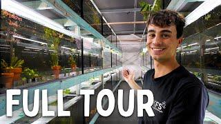 300+ Aquariums in my Fish Breeding Warehouse!