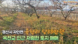 자인면 옥천교 인근 당33만원 토지 / 옥천리 인근 저렴한 급매 토지 / 농막ok 농수걱정 없는 토지