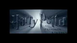 Harry Potter- My songs know what you did in the dark (light 'em up)