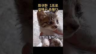 씻겨보니 1프로