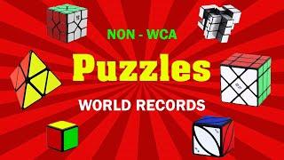 Non WCA Puzzels World Record