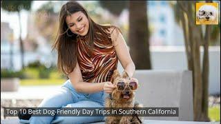 Top 10 Best Dog Friendly Day Trips in Southern California ️