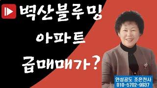 공도조은부동산/벽산48B타입1층구조보세요