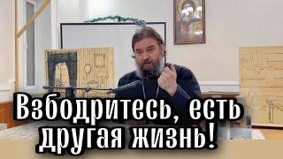 Христианство без соли это не Христианство. Отец Андрей Ткачёв