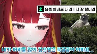 아무튼 북극곰을 위해 그런거임 ㅇㅇ