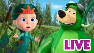 ماشا والدب ‍️ LIVE STREAM!  دوائر على الماء  Masha and the Bear