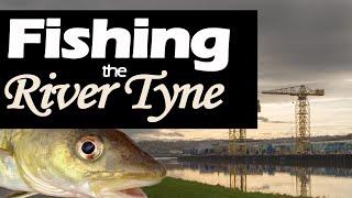 Shore Fishing for Cod - The River Tyne Sea Fishing UK