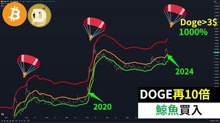 Will Dogecoin rise 10 times again? DOGE Bitcoin whales are buying!