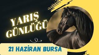 21 HAZİRAN BURSA AT YARIŞI TAHMİNLERİ YARIŞ GÜNLÜĞÜ