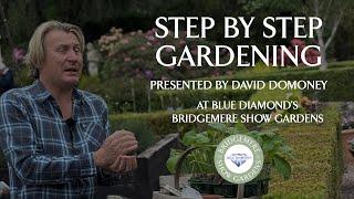 Grow Runner Beans, Grafted Veg & More with David Domoney