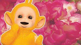 Teletubbies: Colours Pack 3 - Full Episode Compilation