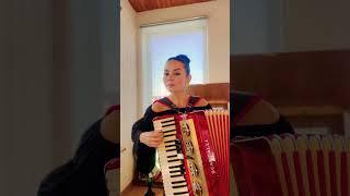 «На сопках Маньчжурии» #вальс #аккордеон #аккордеонист #accordion #accordionplayer #песниподгитару