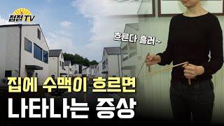 (용한점집) (풍수지리) 집에 수맥이 흐르면 나타나는 증상 [점점tv정주행하기]