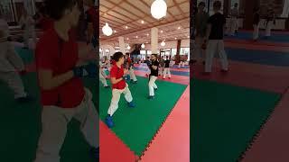 армавиркаратэбарс #армавир #армавиркаратэ #армавирспорт #каратэ #wkf #karate
