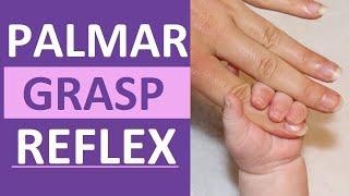 Palmar Grasp Reflex Reaction Infant Newborn Pediatric Nursing Assessment