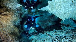 Cenote Dos Pisos Roots & Reflections - Cave Diving in the Riviera Maya Mexico - Dark Horizon Diving