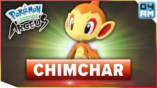 Where To Find CHIMCHAR & How To Catch It in Pokemon Legends Arceus