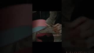 да, мы любим всякую херню #непосредственнокаха #Серго #АртёмКалайджан #ArtemKalaidzhian