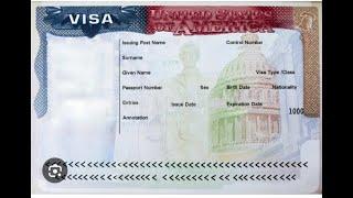 5 Things that Could Lead to a Student Visa (F-1) Denial during the USA Visa Interview according USA