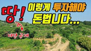 (꿀팁) 돈 버는 소액토지투자 정규 유료강의 살짝 공개 땅 투자로 돈 벌어 볼까?