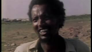 Eritrean People's Liberation Front (1978)