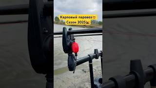 долгожданный паровоз #рыбалка #рыбалканафидер #карп #рыбалканаозере #карповаловля #рыбалка