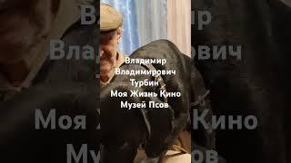 Владимир Владимирович Турбин @ Моя  Жизнь Кино @ Музей Псов #музейпса #музейпсов #МояЖиньКино