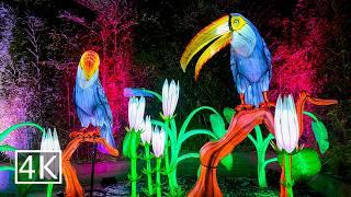 [4K] Christmas Lights at Los Angeles Zoo - Animals Aglow