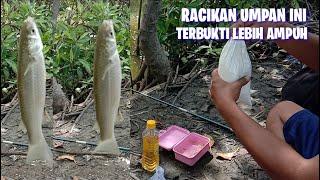 Mancing belanak umpan terigu dan minyak goreng terbukti lebih ampuh