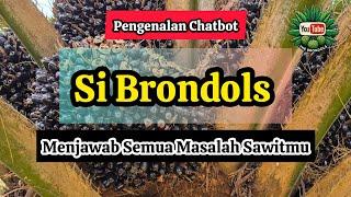 Banyak Pertanyaan Tentang Sawit Tapi Bingung, maka Si Brondols akan Membantu