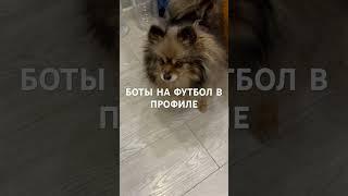 Прогноз на футбол Реал Мадрид Атлетик Испания Ла Лига 20.04.2025 #футбол