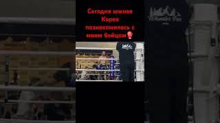 Профессиональный бой Клуб воин #бокс#boxing#box