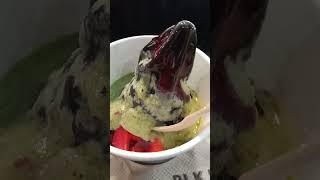 Blk 513 charcoal yogurt ice cream with pistachio and strawberry #ytshorts #yummy