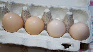 Готовлю чаще чем яичницу! Мой самый «ходовой» рецепт из четырех яиц.