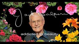 JACK HALPERN: ADDICTED TO BEAUTY (FULL FILM/ TRT 27 min)