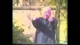 Fu Zhong Wen Part 1 Yang Family Tai Chi 85 Form With Yang Cheng Fu Images