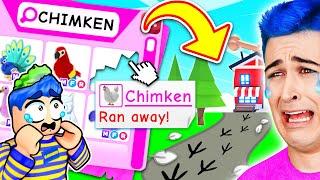 Chimken *RAN AWAY* In Adopt Me Roblox !!  Adopt Me DREAM PET *ABANDONED* Me.. (Come Back CHIMKEN)
