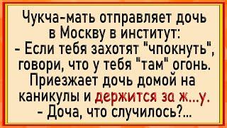 Как Чукчанке в Москве засадили! Сборник свежих анекдотов! Юмор!