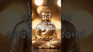 성공하지 않아도 괜찮은 이유, 부처님이 알려주셨습니다... #shorts #불교 #오디오북 #말한마디 #인생 #괴로움 #성공 #공덕